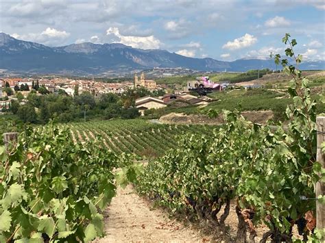 San Sebastian to Rioja Region Wineries and Laguardia Day Trip 2022 - Viator