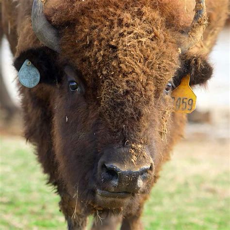 Family Fun | Visit Tupelo