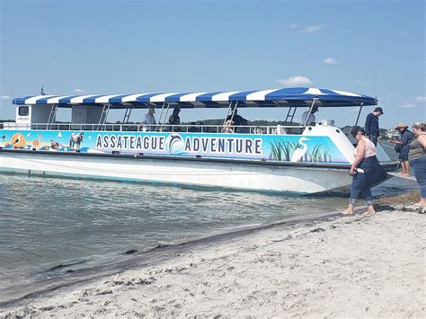 Assateague Adventure (Ocean City) - All You Need to Know BEFORE You Go