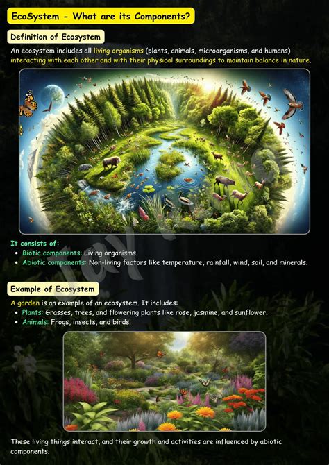 Environment 的图像结果