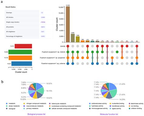 Characterization, Genome Sequencing, and Development of a Rapid PCR ...