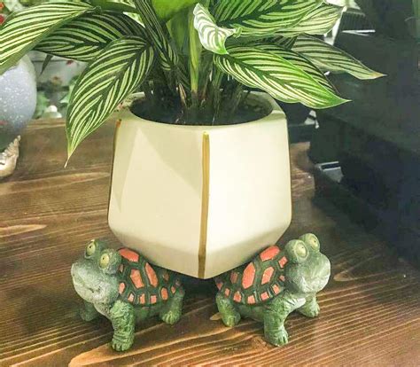 Dgudgu 3 Pack Tortoise-Shaped Planter Feet for Pots, Indoor India | Ubuy