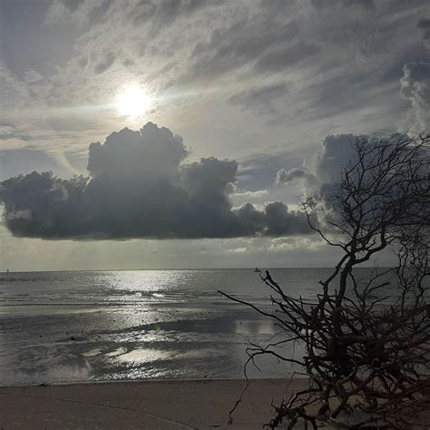 Image result for Shell Key Preserve