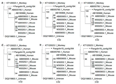 Viral Metagenomics Revealed Sendai Virus and Coronavirus Infection of ...