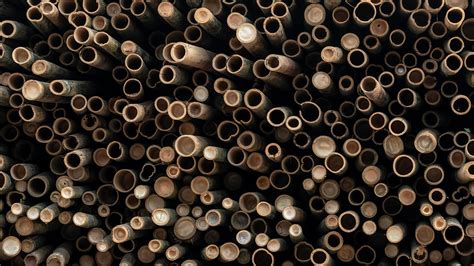 Bamboolib for Python 的图像结果