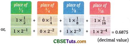 Binary Number System Explained 的图像结果