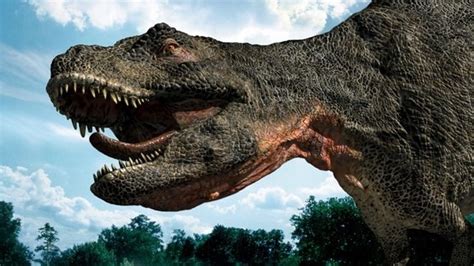 Image result for Dinosaur Using Computer Picture