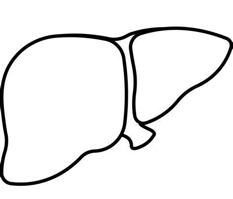 Liver Clipart Black And White