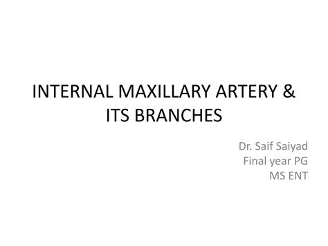 Internal maxillary artery & its branches | PPT