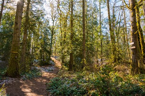Exploring the New Gnome Trail in Maple Valley - Travelffeine