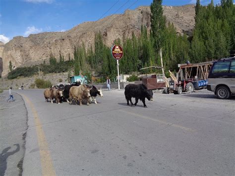 KHUNJERAB HOTEL SOST - Hotel Reviews, Photos, Rate Comparison - Tripadvisor