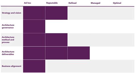 Image result for Accepted Current Maturity Level