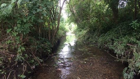 BERRYLANDS NATURE RESERVE - All You Need to Know BEFORE You Go 2026 ...
