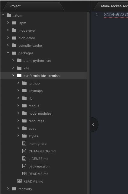 Image result for How to Run Python Script in Atom