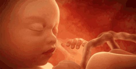 女性在孕期经常生气、哭对胎儿有哪些影响?_ 孕妇