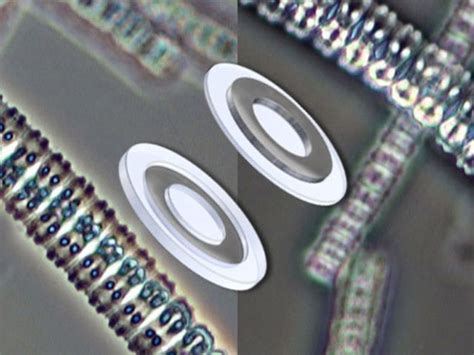 Image result for Phase Contrast Microscopy Applications