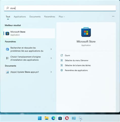 Image result for Comment Utiliser Window Store