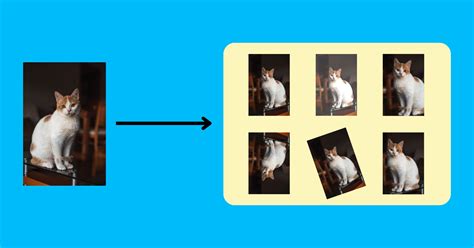 Image result for Deep Learning Data Augmentation