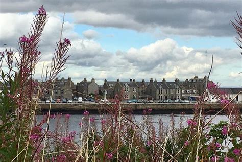 Deeside Nature Activities (Ballater) - All You Need to Know BEFORE You Go