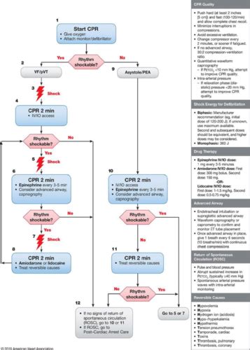 Image result for ACLS For Dummies