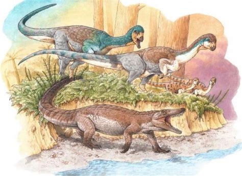 150-million-year-old Fossil of "Grandfather" of Modern Crocodiles ...