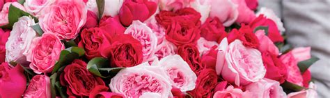 Swenson and Silacci Flowers | Flower Delivery Salinas, CA Florist