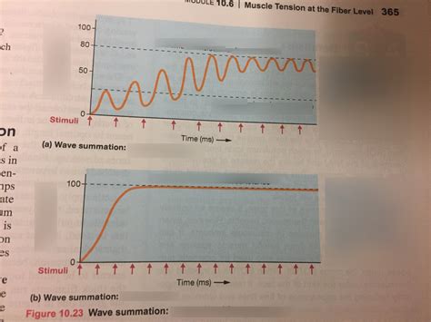 Image result for Wave Summation Graph