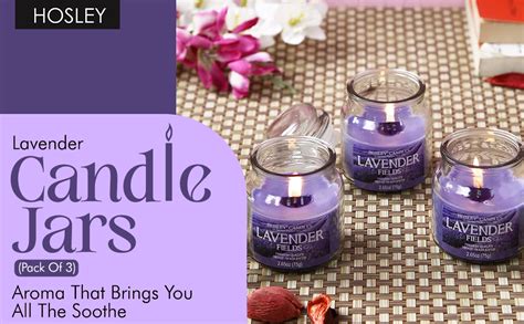 HOSLEY Lavender Fields Fragrance Jar Candle Pack of 3 (2.65 Oz Wax ...