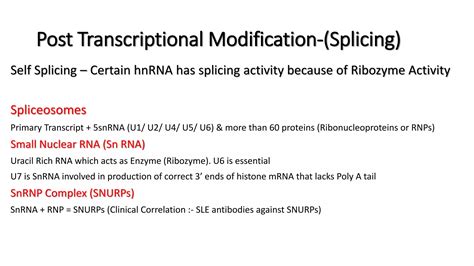 Post Transcriptional Modifications | PPTX