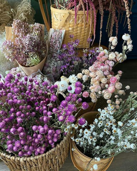 Heart wreath workshop, Bella Terra Vineyards, Hunker, 2 February 2024 ...