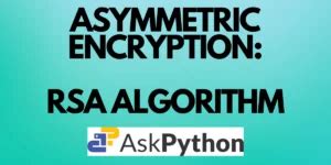 RSA Algorithm Python 的图像结果
