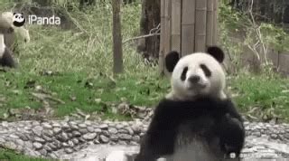 Image result for Pandas Library Python Application