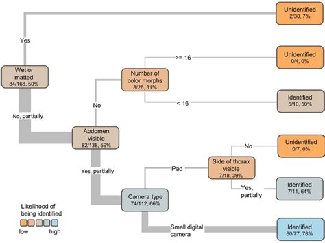Image result for Classification Tree Analysis Example R
