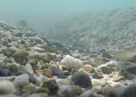 Weathering Time-Lapse 的图像结果