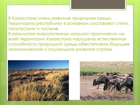 Экологические проблемы Казахстана - online presentation
