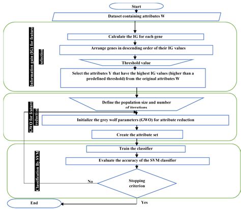 Breast and Colon Cancer Classification from Gene Expression Profiles ...