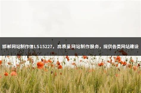邯郸网站制作信LS15227，高质量网站制作服务，提供各类网站建设 - 竞工厂