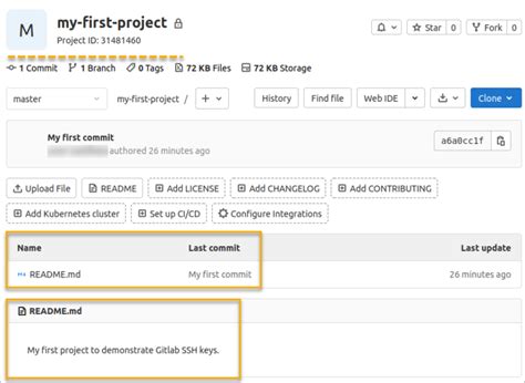 GitLab SSH Key Custom Instance 的图像结果