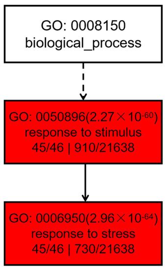 Comprehensive Analysis of Universal Stress Protein Family Genes and ...