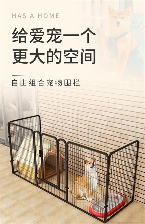 Whats The Best Flooring For A Dog Kennel
