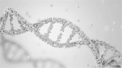 Image result for DNA Structure Animation