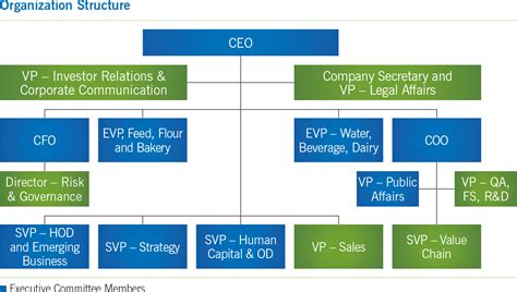 Governance Structure Chart 的图像结果