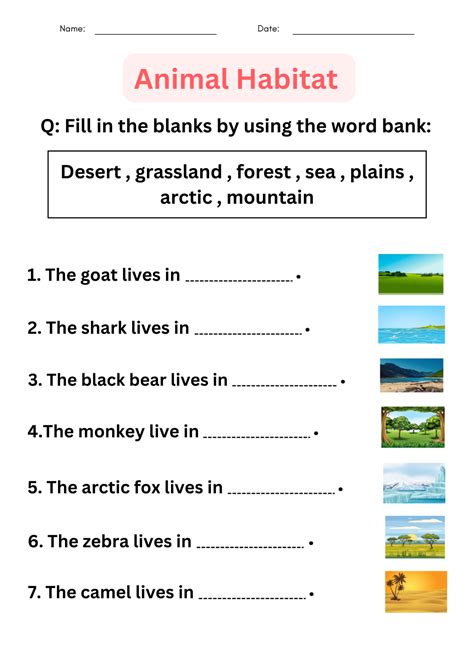 printable matching activity animal habitats worksheets for grade 1, 2 ...