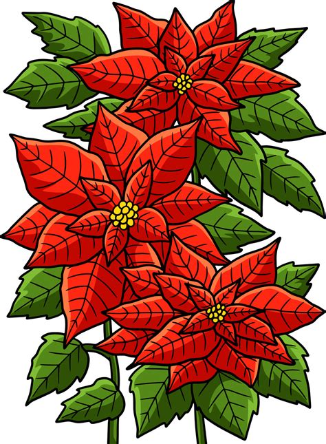 Poinsettia Plant Clipart