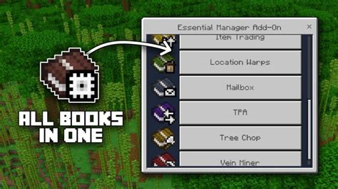 Image result for MC Add-On Manager Files