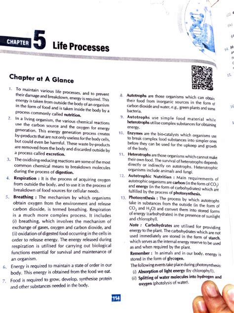 Chapter Life Processes Class 10 Shubham Pathak 的图像结果