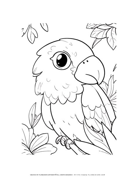 Image result for Parrot Coloring Pages