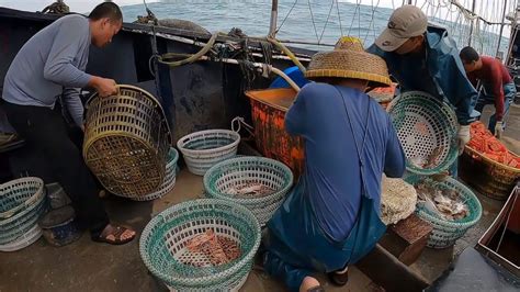 100万渔船南海撒下27公里大蟹笼，起获超多螃蟹，装满20个渔筐_好看视频