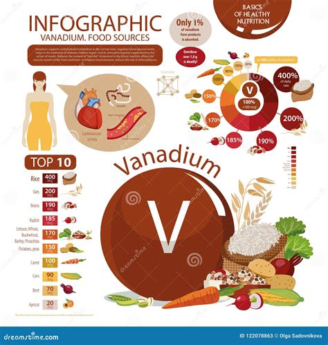 Infographics Du Contenu Du Vanadium Dans Les Produits Alimentaires D ...