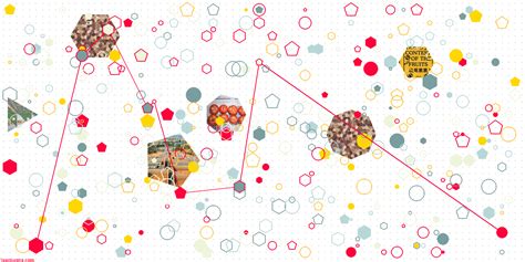 Organizational Decision Making 的图像结果